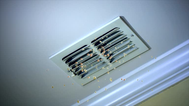 Best Best Air Duct Cleaning Company  in Jacksboro, TX