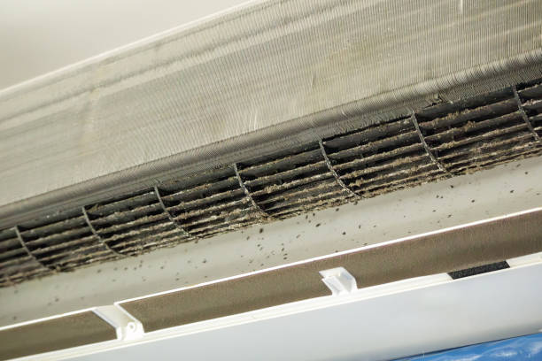 Best HVAC Air Duct Cleaning  in Jacksboro, TX